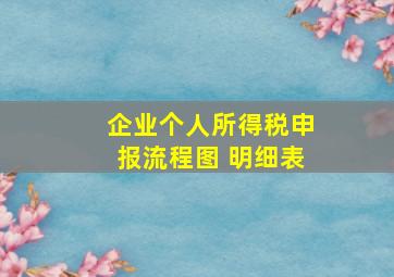 企业个人所得税申报流程图 明细表